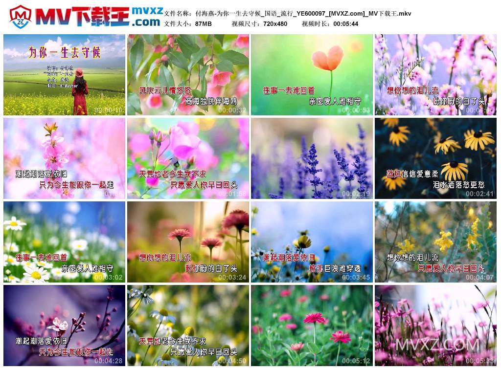 付海燕-为你一生去守候_国语_流行_YE600097